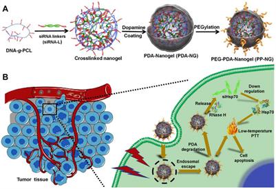 Nanomaterial-mediated low-temperature photothermal therapy via heat shock protein inhibition